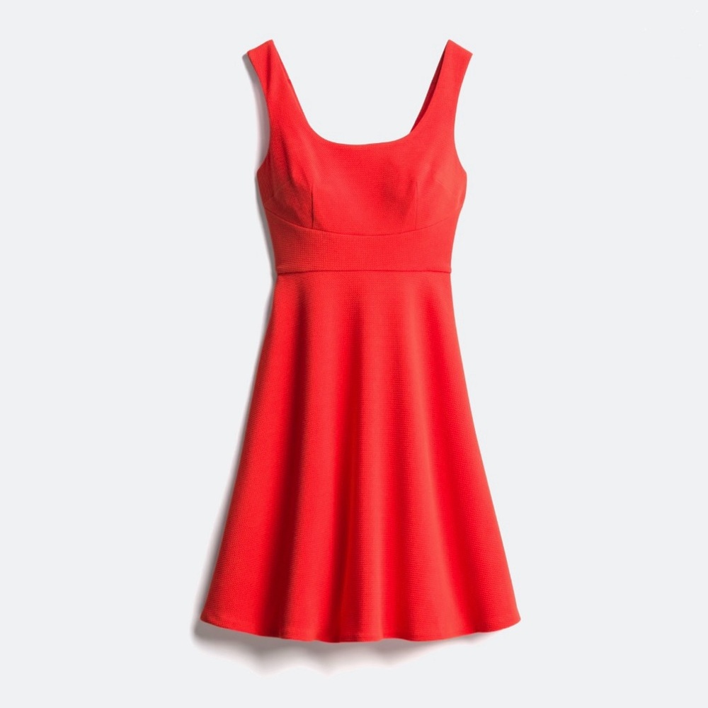 NWT | DM Collection Demetria Textured Knit Dress
